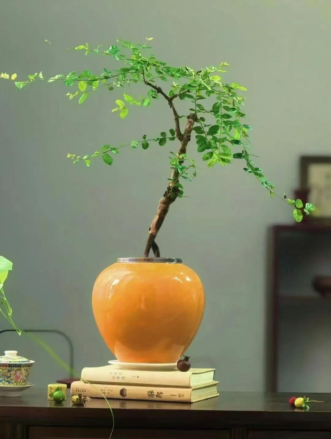 川南人刷到北方2000+取暖费，沉默了：这钱够我家缴一整年水电气了！作