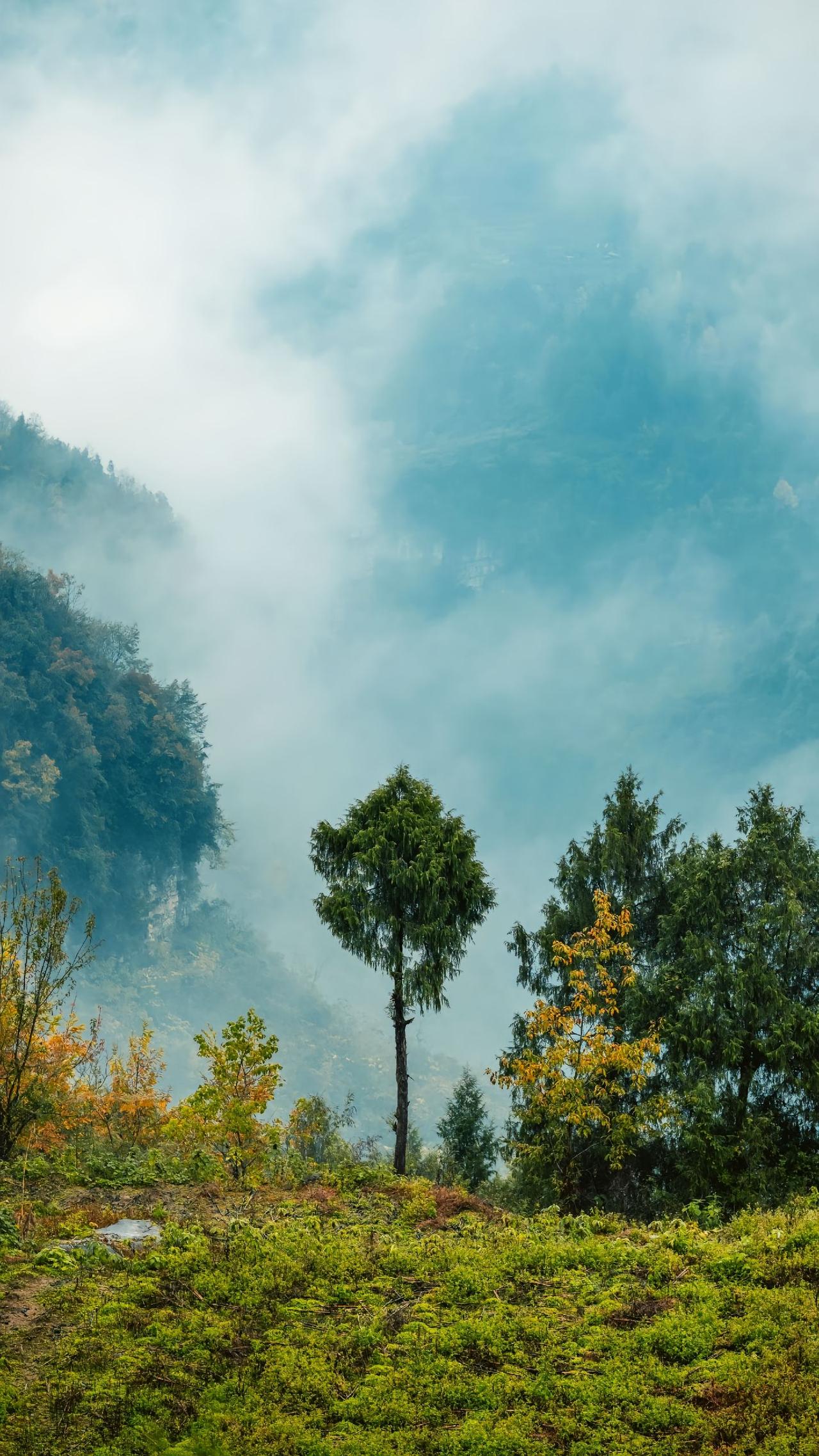 治理补课乱象其实很简单，只要学校不带头组织补课就行。周一到周五，让学生按时上学、