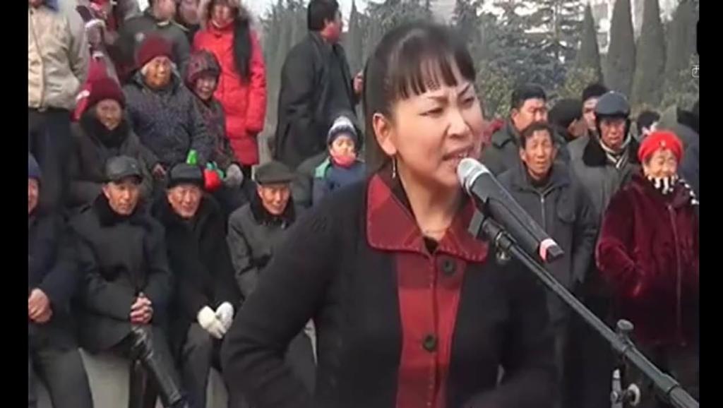 河南坠子书胡中花全集,河南坠子胡中花演唱全集