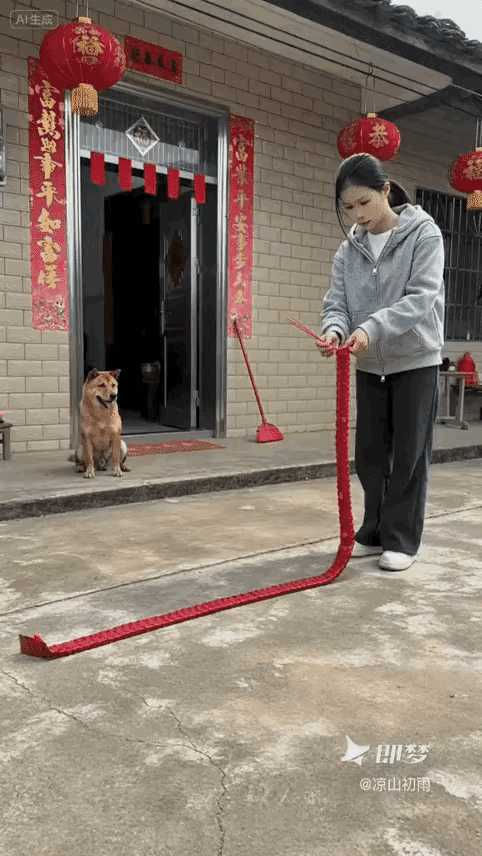 狗狗非常的忠诚于主人，女主人点燃鞭炮就溜了，狗狗以为主人落下东西了，不顾一切的叨