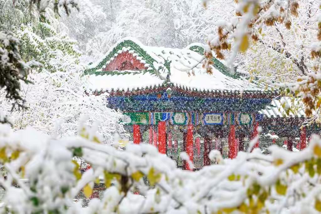 10月15日乌鲁木齐迎来初雪啦！比常年（1991-2020年平均）的10月1