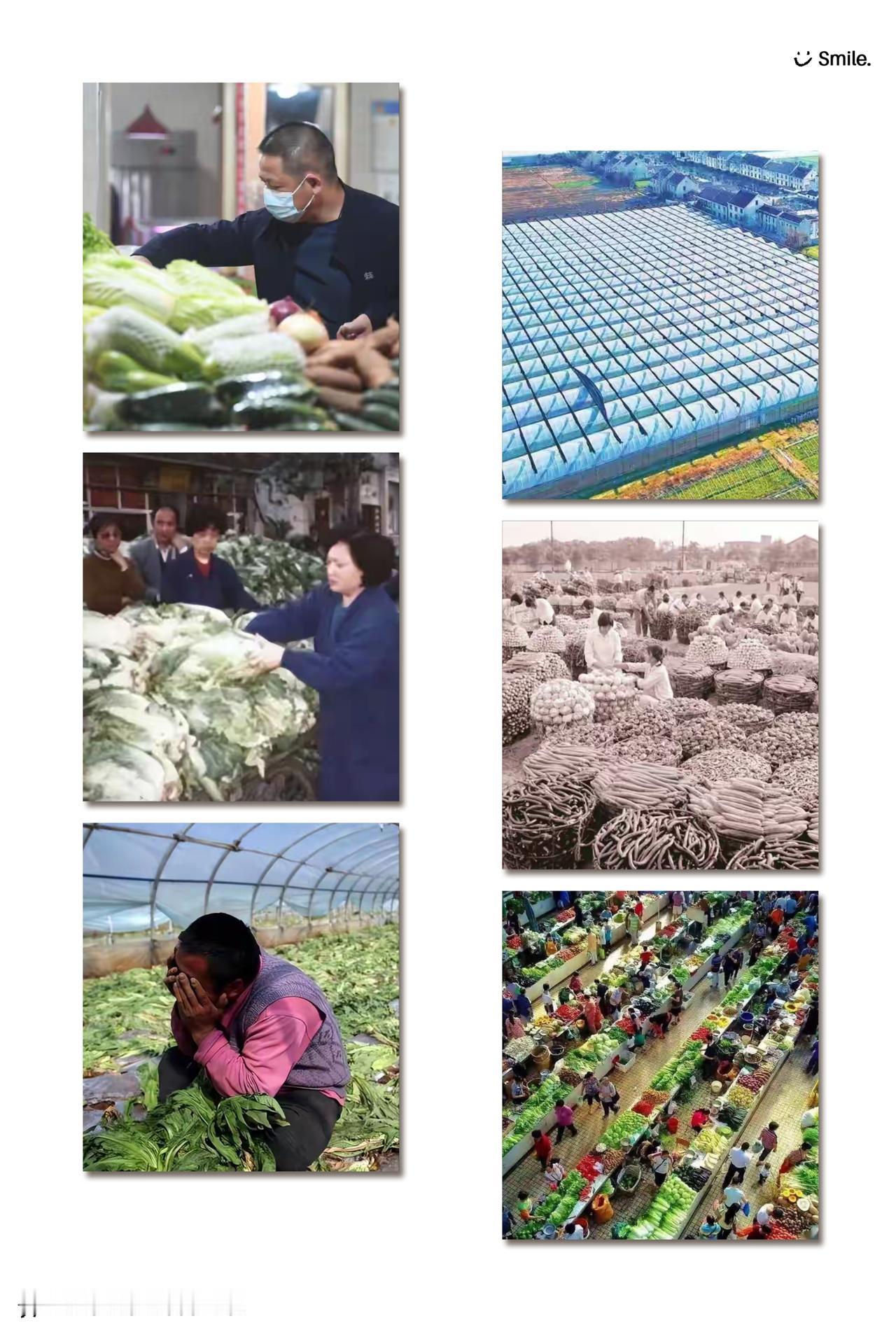 中国菜价太魔幻！我们嫌贵，外国人却喊“白菜价”，背后藏着大秘密！西红柿快4