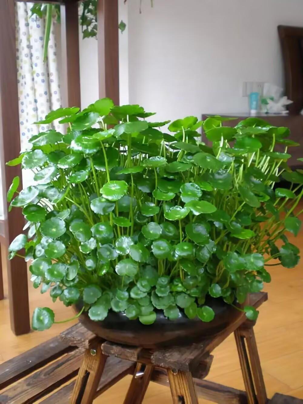 邻居家姑娘最近哭得眼睛都肿了，这事您听听到底怪谁呢？前阵子她去聚会，硬生生把自己