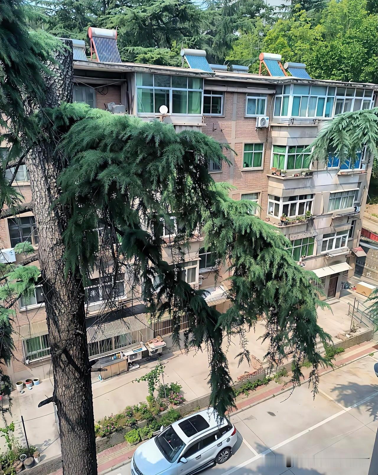 把我搞糊涂了，这到底是赔了还是赚了？1.你花500万买了一栋房子；2.房子贬