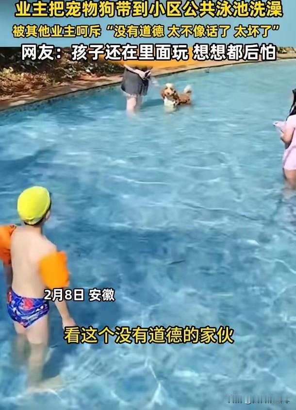 “太不像话了！”安徽，一男子到小区游泳池游泳，却发现一名女业主竟然把自家的宠物狗