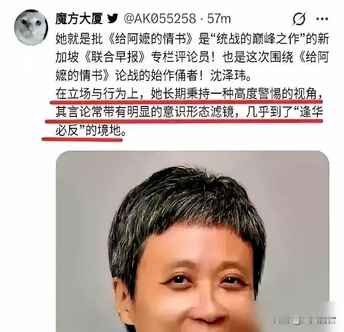 沈泽玮，新加坡人，祖籍福建东山。2026年以驻北京特派员身份继续从事写作与评论工