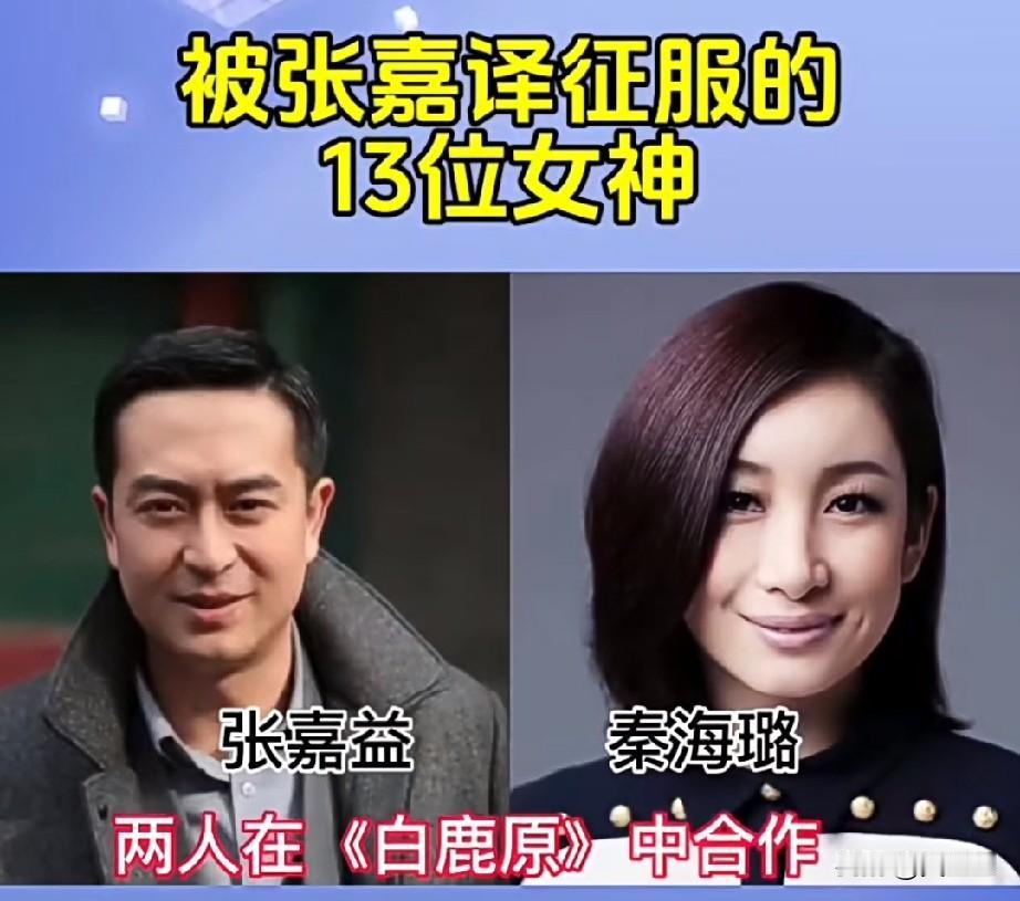 和张嘉译的13位荧幕搭档女星，你喜欢谁？