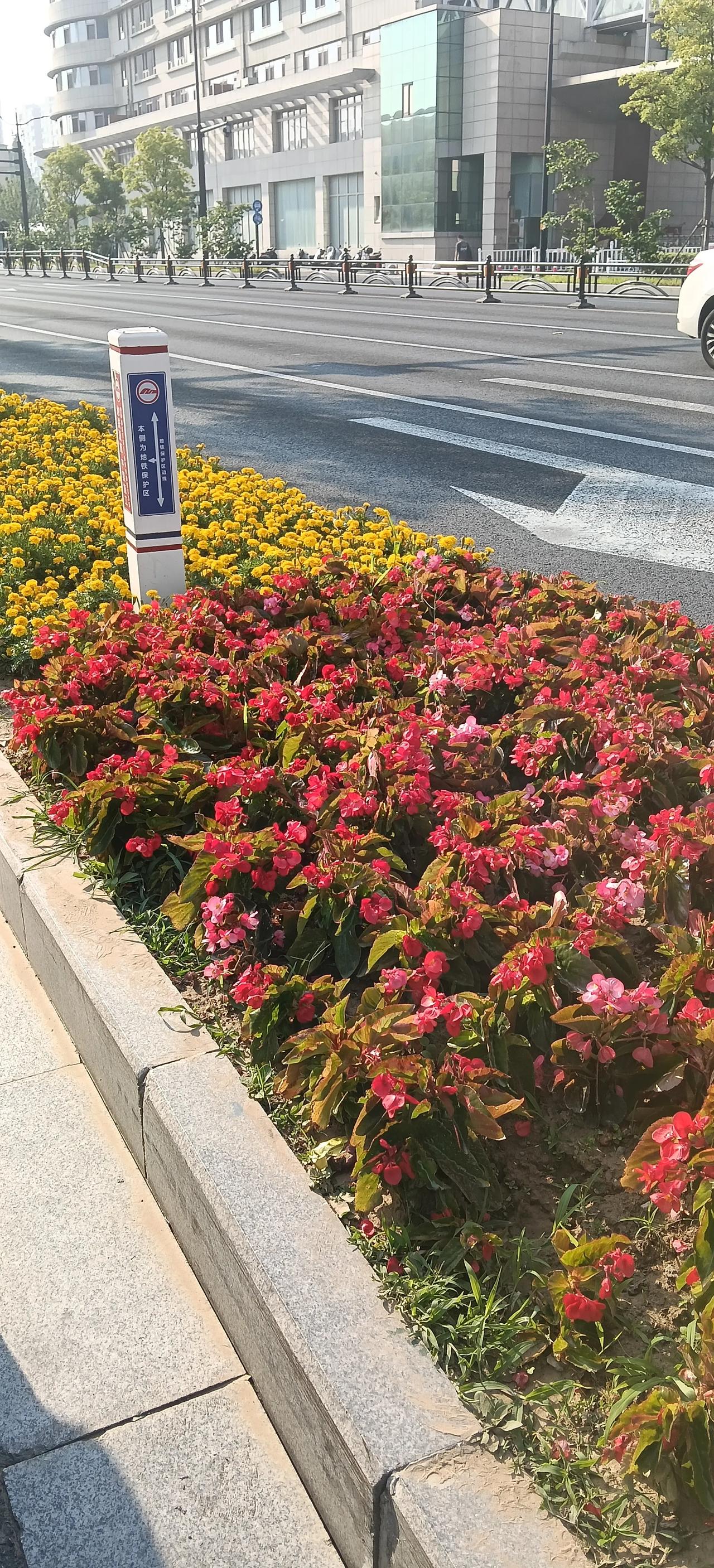 陈友谅为什么败给朱元璋?陈友谅杀主夺权、人心不稳，又在战略上犯了致命错误。他急