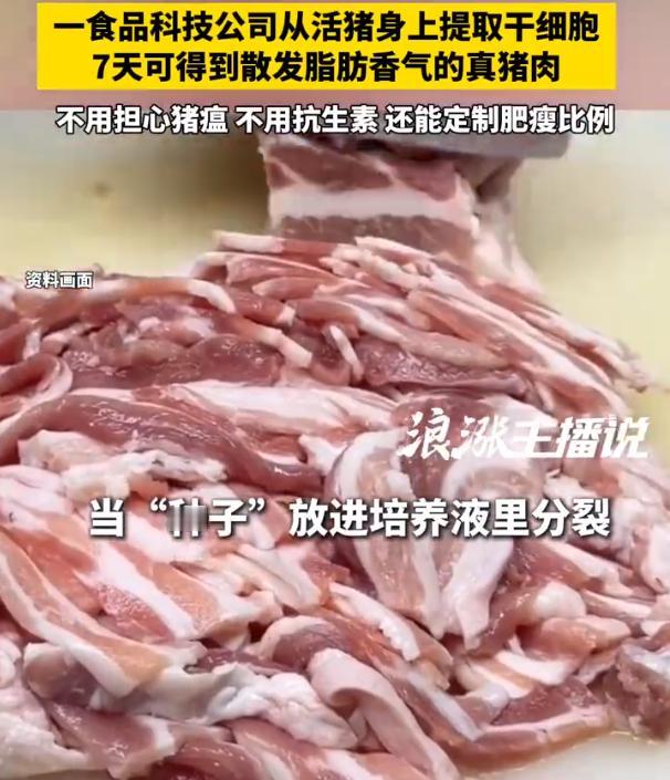【不养猪不杀猪也能吃上猪肉】以后猪肉不用从猪身上长不养猪不杀猪就能吃上猪肉？一
