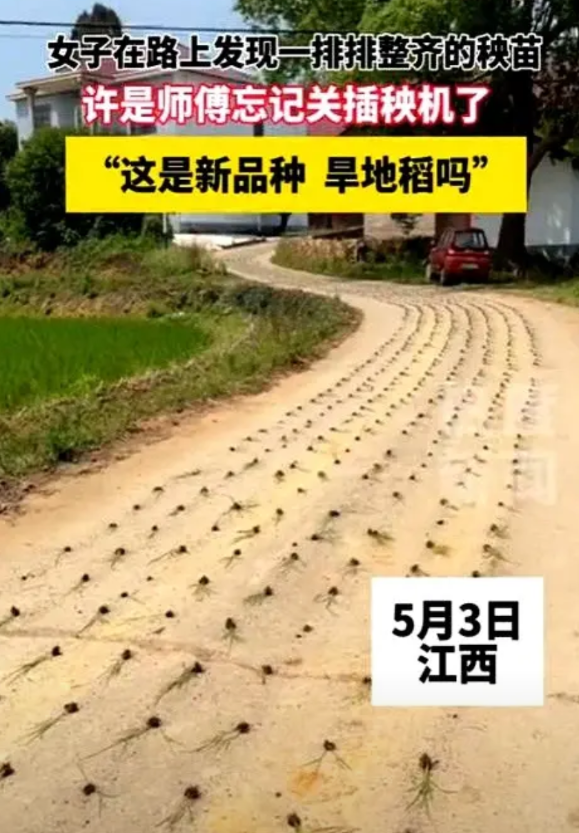 “这下亏大了！”5月3日，江西，一师傅带着插秧机去地里插秧，结果，却忘了关，就这