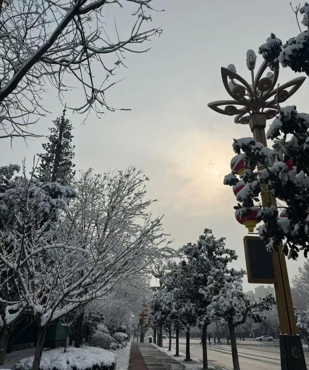 我刷到一位退休老哥吐槽，说被养生帖忽悠改一天两顿，结果饿得半夜啃馒头，胃酸直冲喉