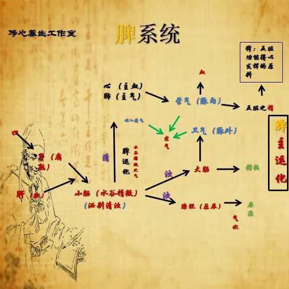 脾主运化水液代合遏言而干散成痰，东讲想主体中影响水液代合的洁器首要