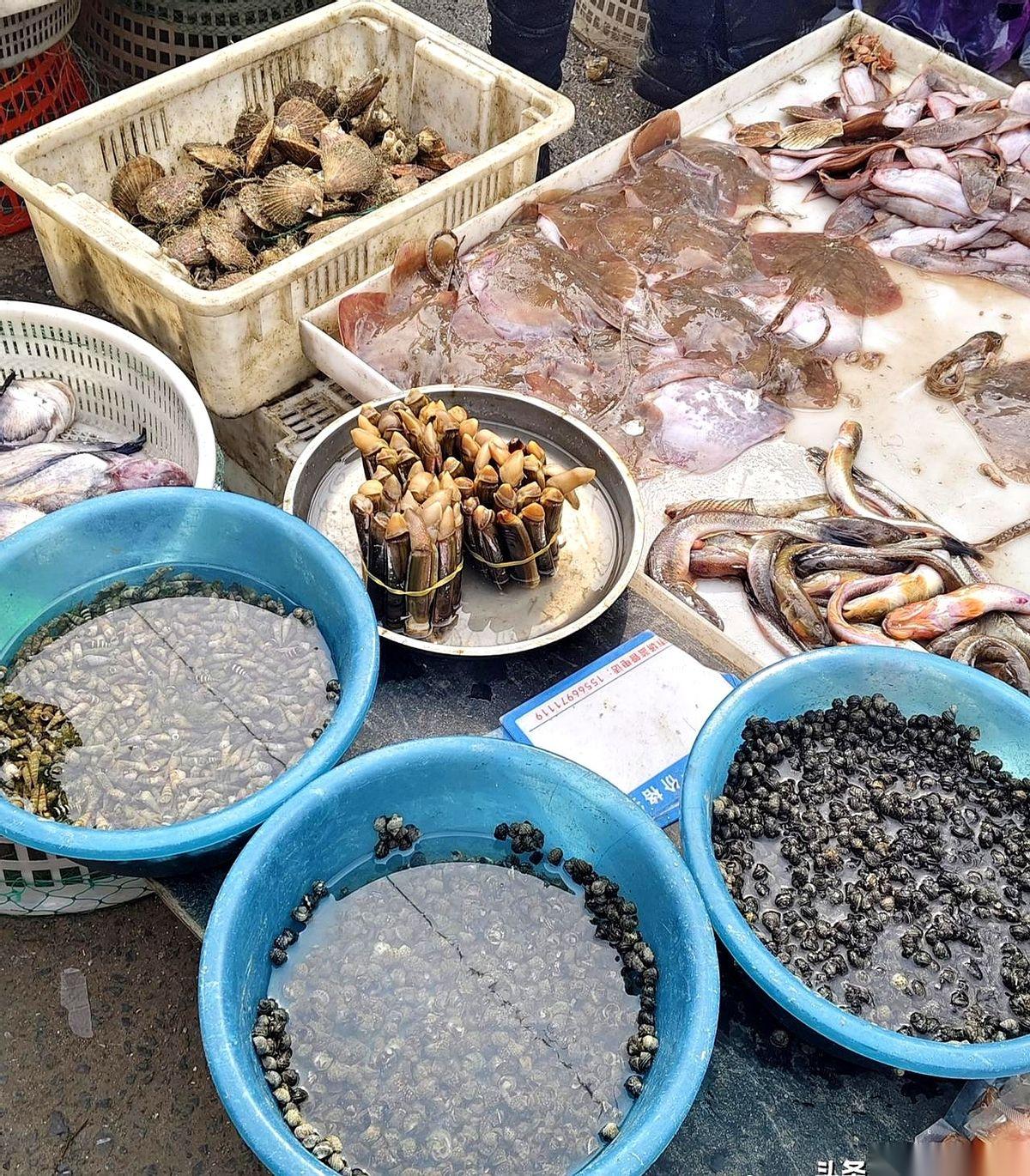 “穷人别来大连”，这话我刚听明白，人已经站在早市上了。一股子海腥味混着刚出摊的