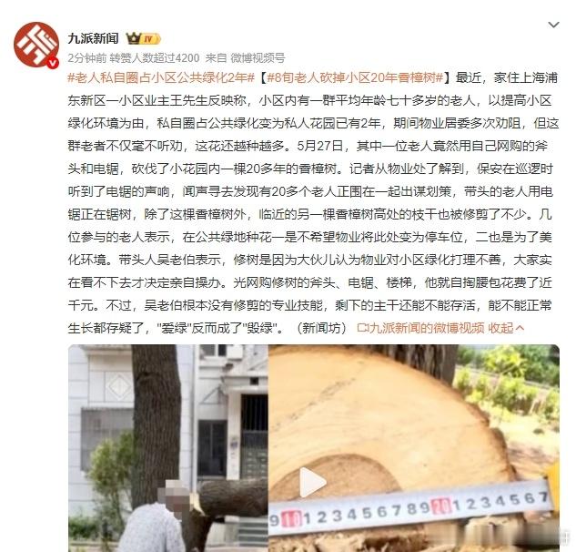 以前院子门口有棵树想砍掉，手续太复杂了就没动，还是大爷厉害，直接砍了要砍伐小区内