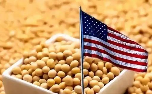 美国大豆为什么非要卖给中国？其实，站在美国的角度，三年不卖给中国大豆，表面上只是