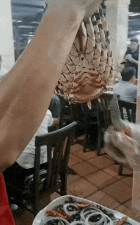 不懂就问，这个是龙虾吗？