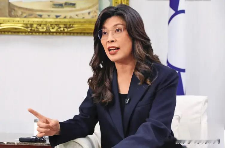 郑丽文的政策越来越清晰了！她在美国《纽约时报》专访中的表态：“台湾必须接受‘