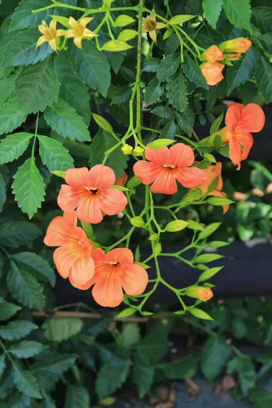 4月7日山东临沂一家烤鱼店，上演了超暖心的一幕。一位四十岁左右的母亲，带着约6岁