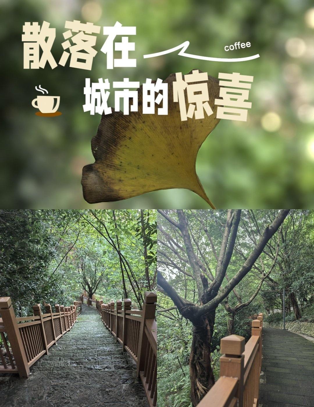 周末不出城！城央藏着治愈系静地📍重庆红岩村(地铁站)周末不想走远了，挖到