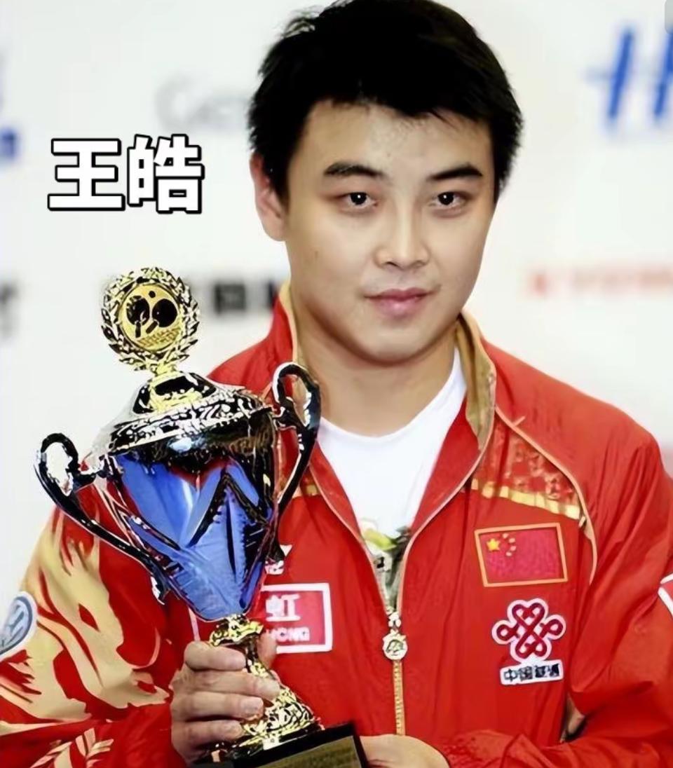 中国乒坛手握铁饭碗的退役球员(体育系统+高校)1.王皓：北京先农坛体校正式