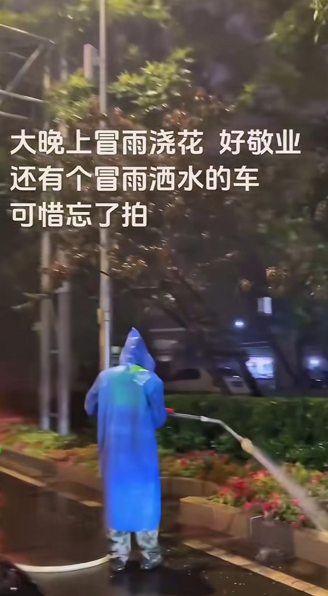 大雨天还给路边的花洒水，这份敬业是不是有些过头了？明明正在下雨，负责洒水任务的