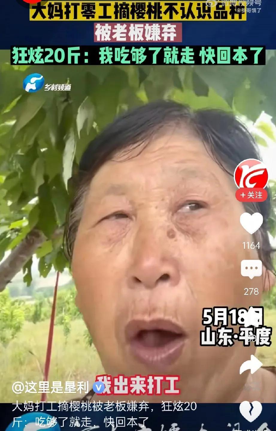 山东平度的一大妈成功把自己送到热搜了！并且所有种樱桃的老板把她拉黑名单了。原因竟
