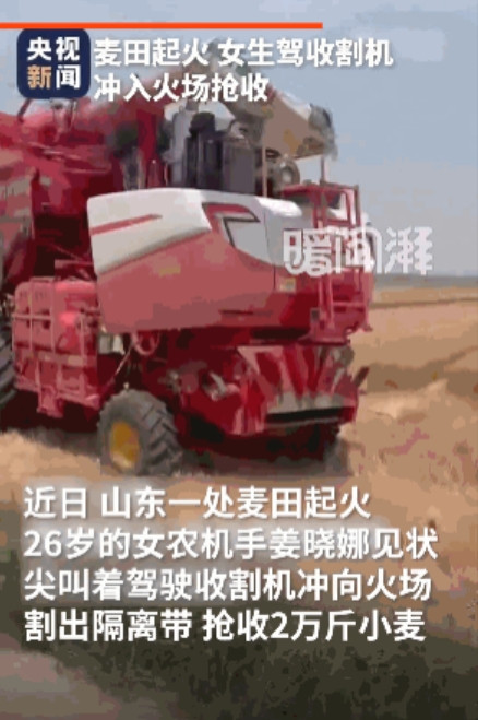 “人美心善的小姐姐！”6月9日，德州一麦田突然着火，26岁女农机手看到后，一边喊