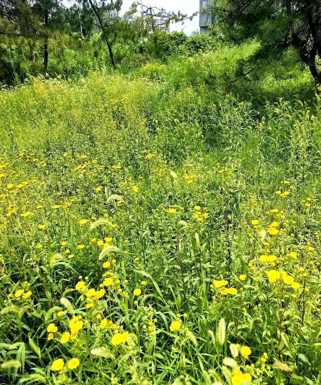 花大几万买燕窝人参续命，真不如老中医一句没开药方的“狠话”管用，你信不信？昨天