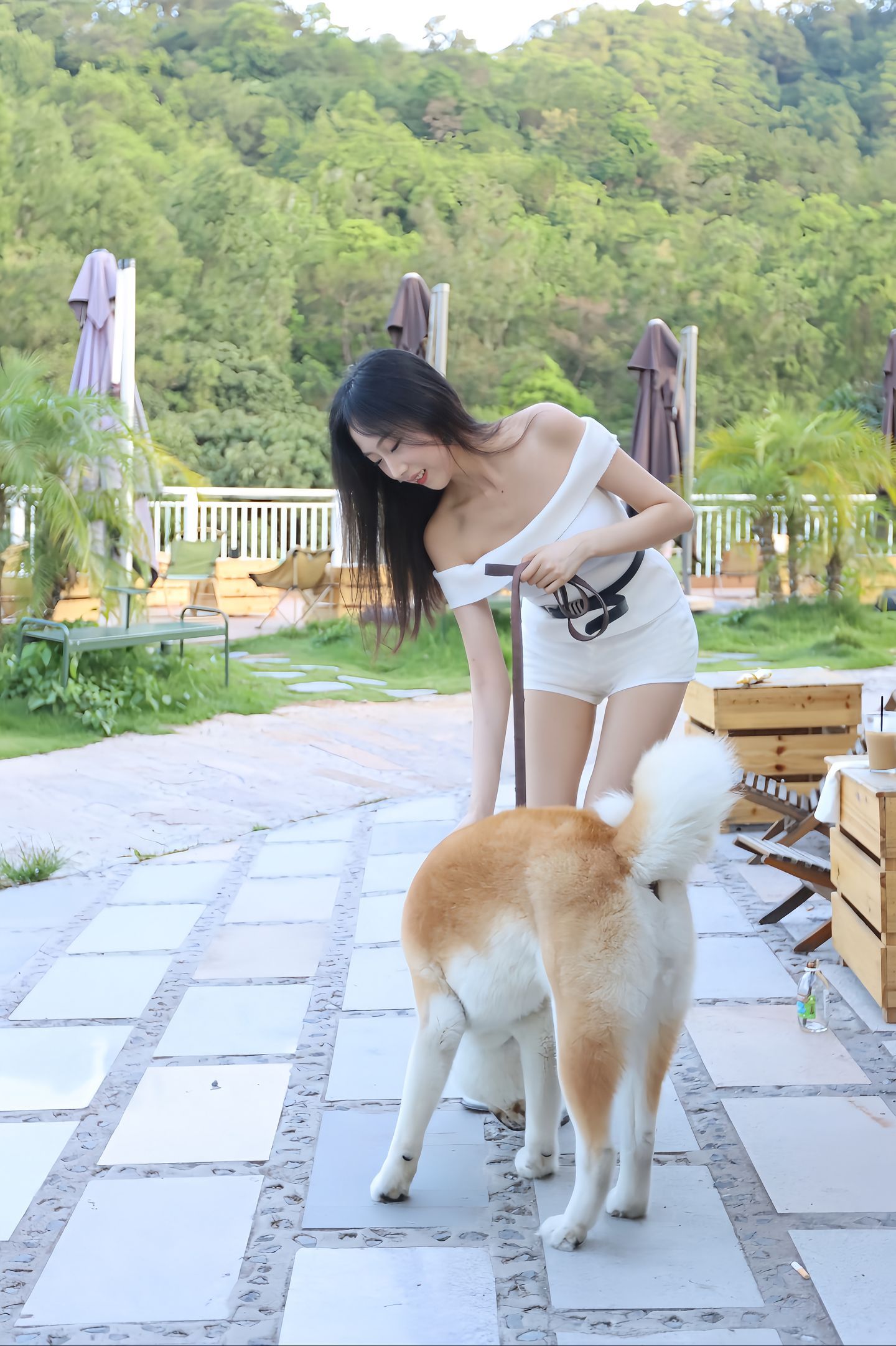 柴犬桑还是蛮可爱的🐕​​​