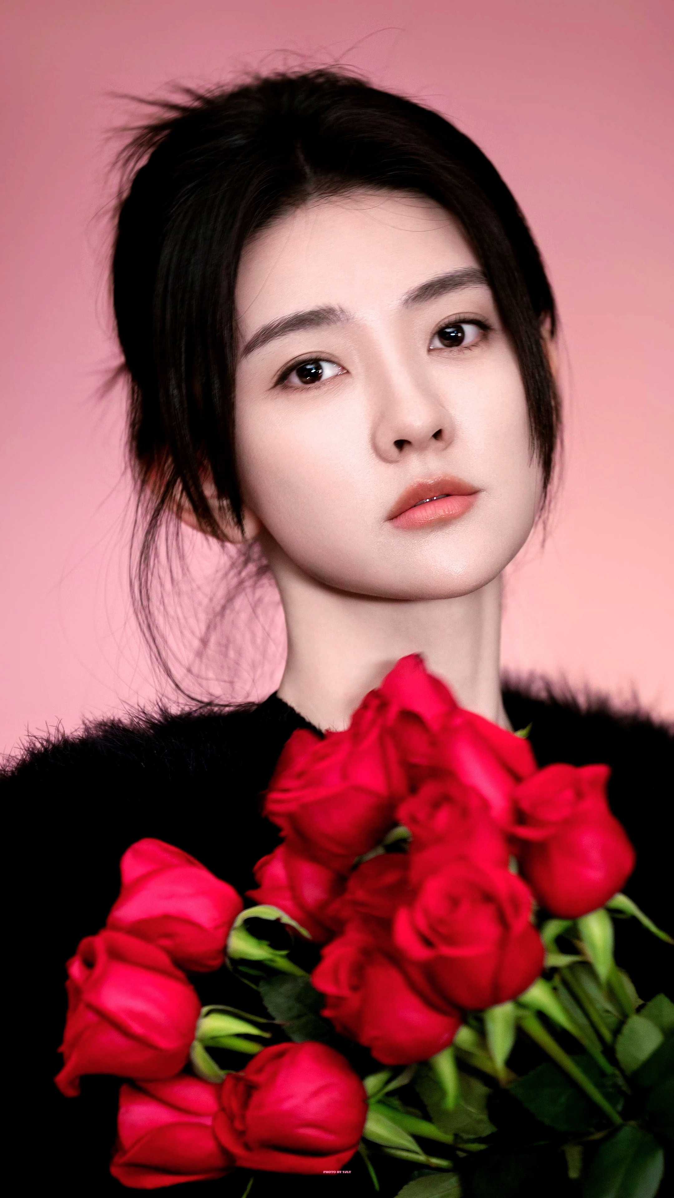 🌹🍎梁洁｜壁纸
