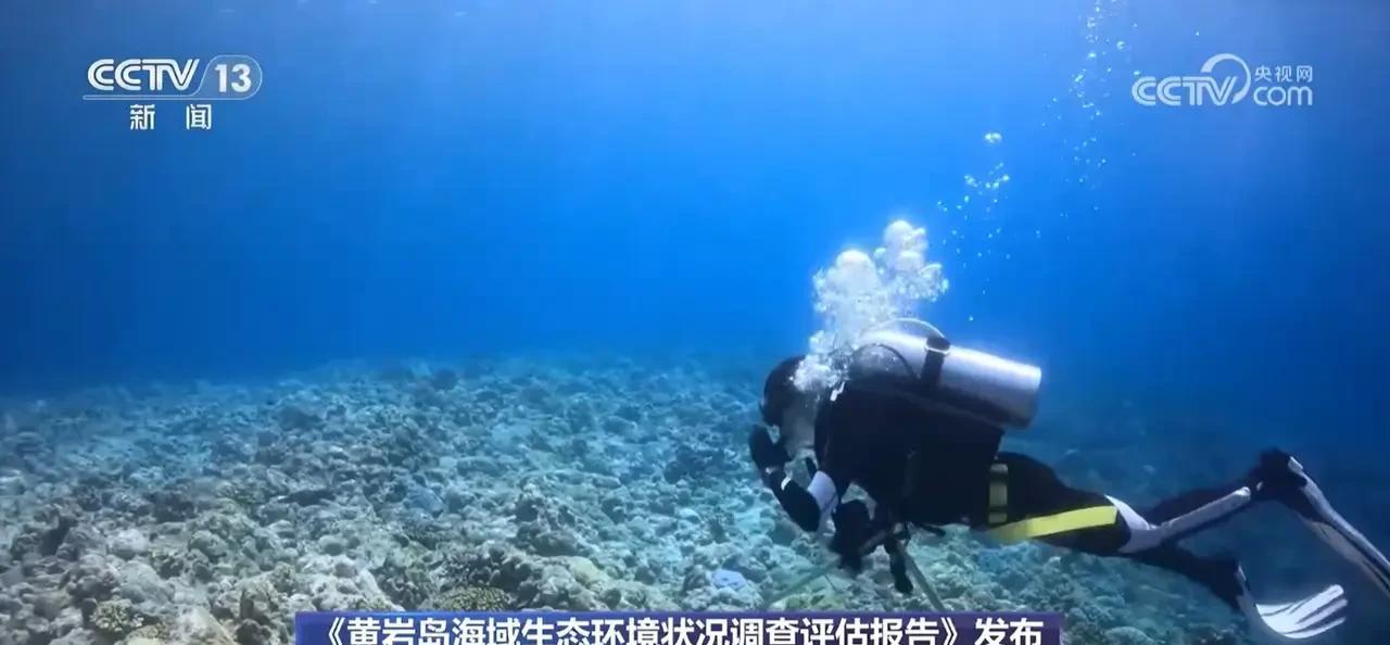 东大在黄岩岛设立海洋自然保护区，这绝对是高人的妙招，在舆论与道义的高地上，根本不