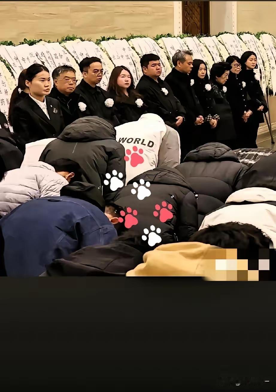 翁帆的付出是得到众人认可的[赞]在杨振宁送别的礼堂里她在家属队排第一个[祈祷