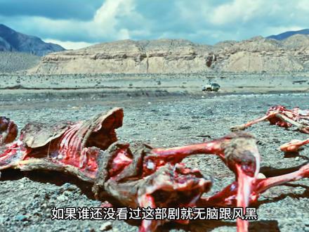 《生命树》电影：谁再说不好看，我第一个不答应！