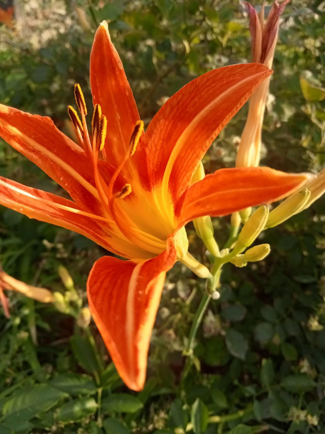 暖气本是一项利民的民心工程，而且用户都是交了取暖费的有偿服务。然而每年都有不少用