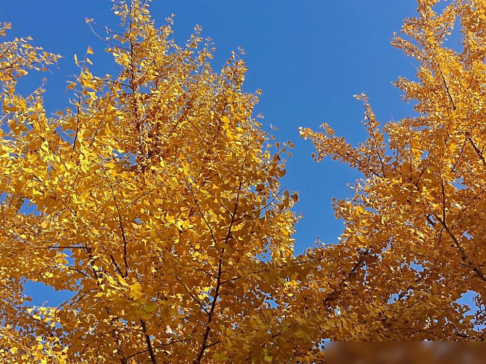 提醒坚持慢跑的老人做到:1.千万不要每天跑，学会休息。我爸去年就是每天雷打不动