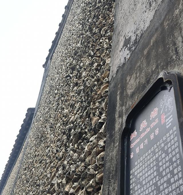 一个广州27岁女生，211英语专业毕业，疫情那年考公上岸去了粤西乡镇，结果四年过