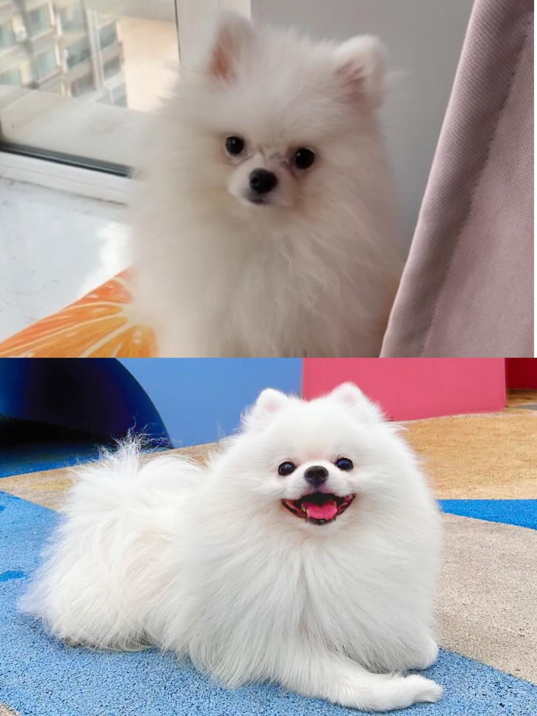 泪痕消失术，原来这么简单啊 ！