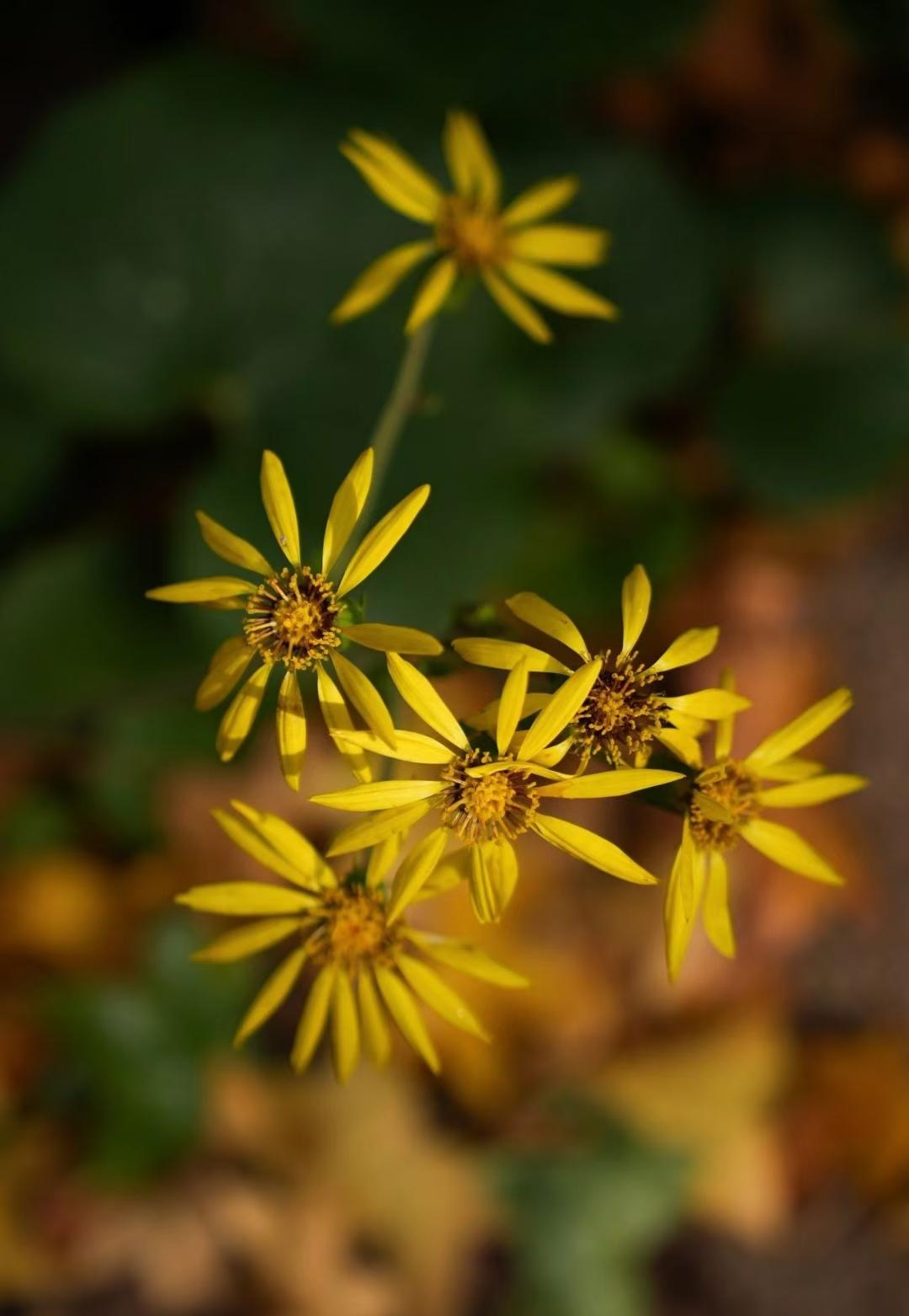 马上要退休了，突然发现年轻时候选一个好的职业真的很重要。单位餐厅最新来了一个