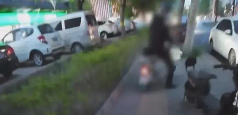 摆拍盲道被撞女生系百万粉丝网红万万没想到当初全网共情的场面全是剧本！网红为博流量
