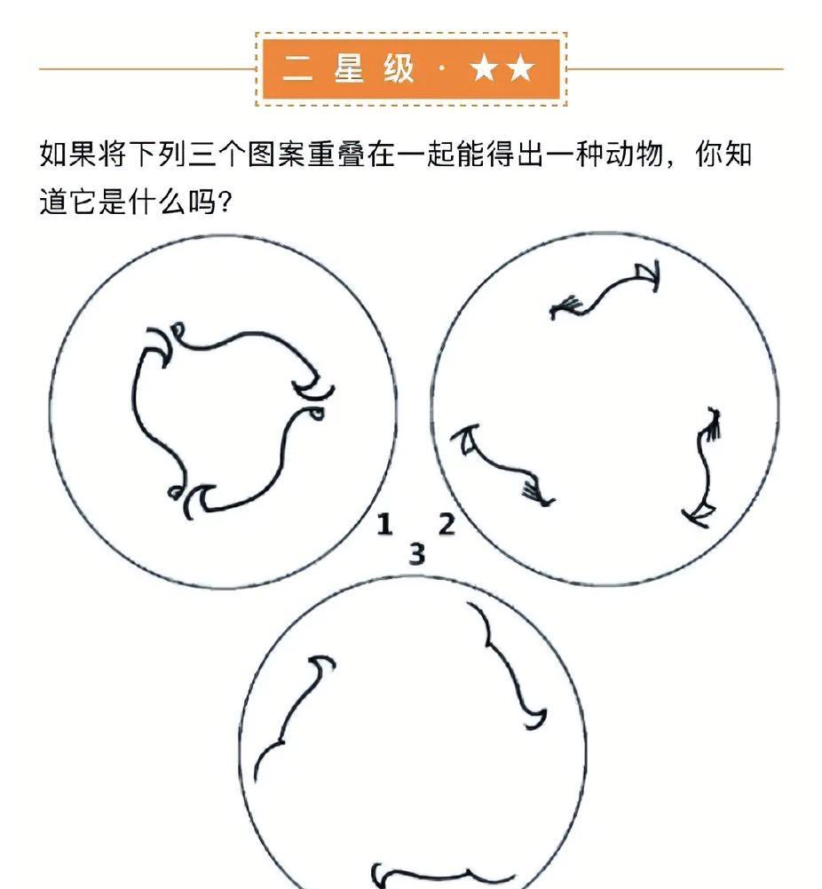 超有意思的思维题！图案重叠，你猜是啥动物