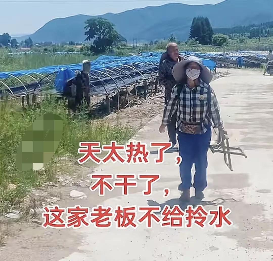 工人罢工！雇人采木耳中午只给两壶水，老板：水喝多了，光上厕所烈日下的“水”矛