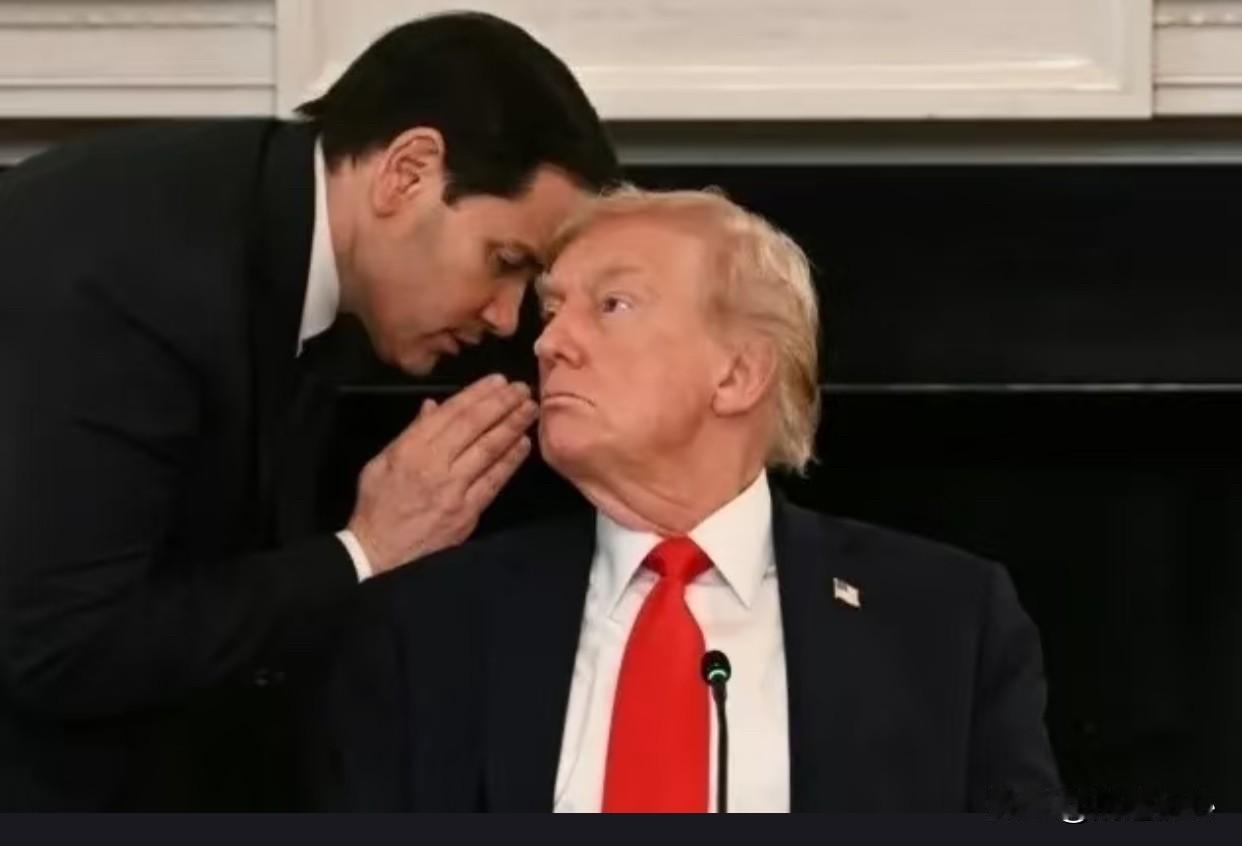 鲁比奥：老大带我一起去吧川普：我也很想带你去见见世面鲁比奥：那就带我去呀！