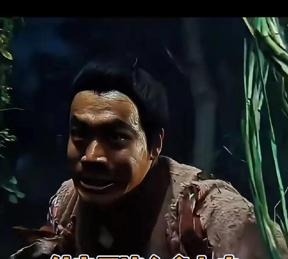 刷到丁海峰的采访才知道，《水浒传》里武松打虎那段，居然是真·人虎对峙！当年拍这