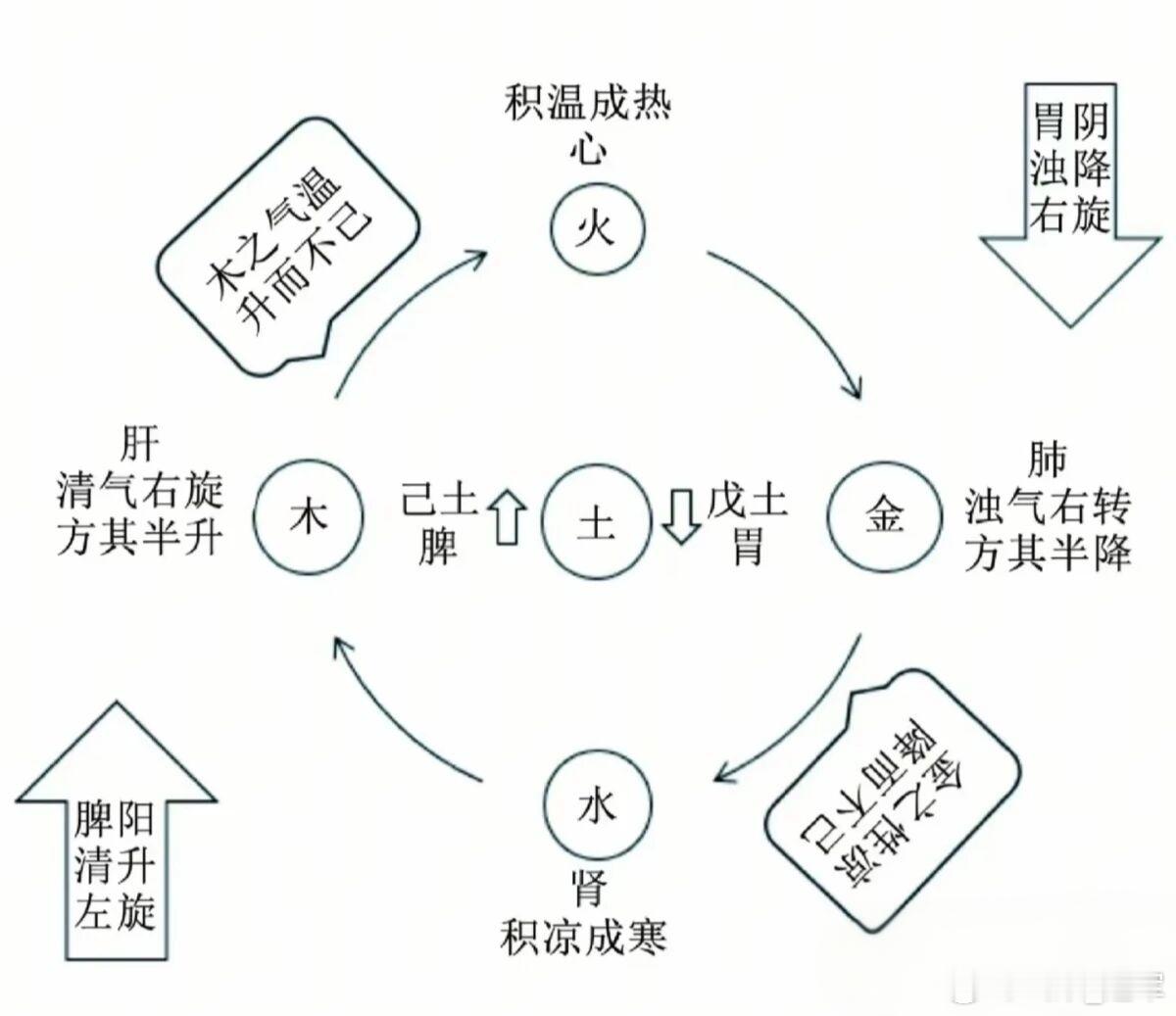 木生于水而长于土乙木生于葵水而长于己土，若水土温暖，则乙木之气左升而木荣，生发之