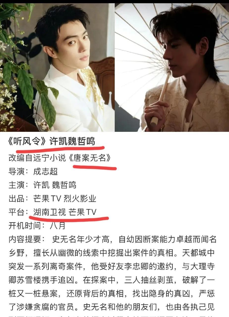 一大早就看到许凯粉丝在抵制“双男主”原来是有瓜主爆料许凯接下来会跟魏哲鸣演双男