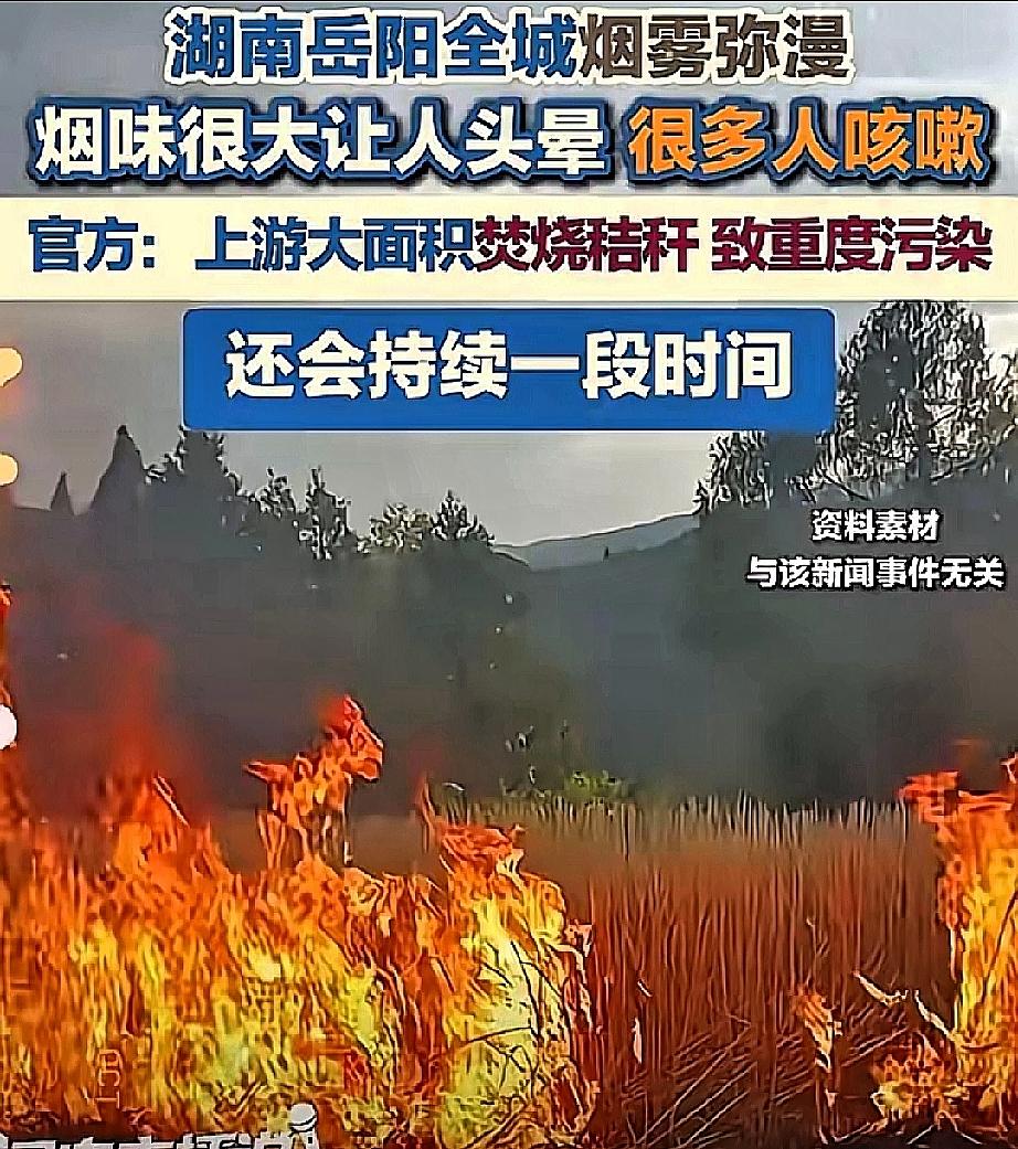 这不是污染，这是农民在用最古老的方式守护收成。岳阳最近烧秸秆，城里烟雾弥漫，却很
