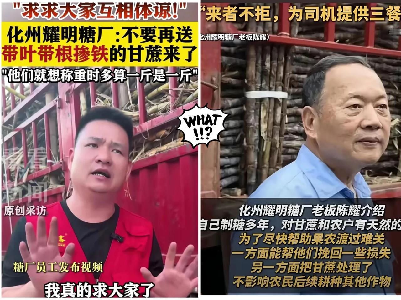 化州耀明糖厂向蔗农喊话：甘蔗别再送过来了！不是不收甘蔗，而是有问题的甘蔗一概