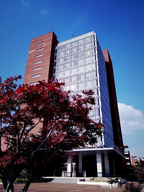 正常来说，即使按部就班的，本科毕业拿到博士学位要6年的，在26岁当博导，拿到博士