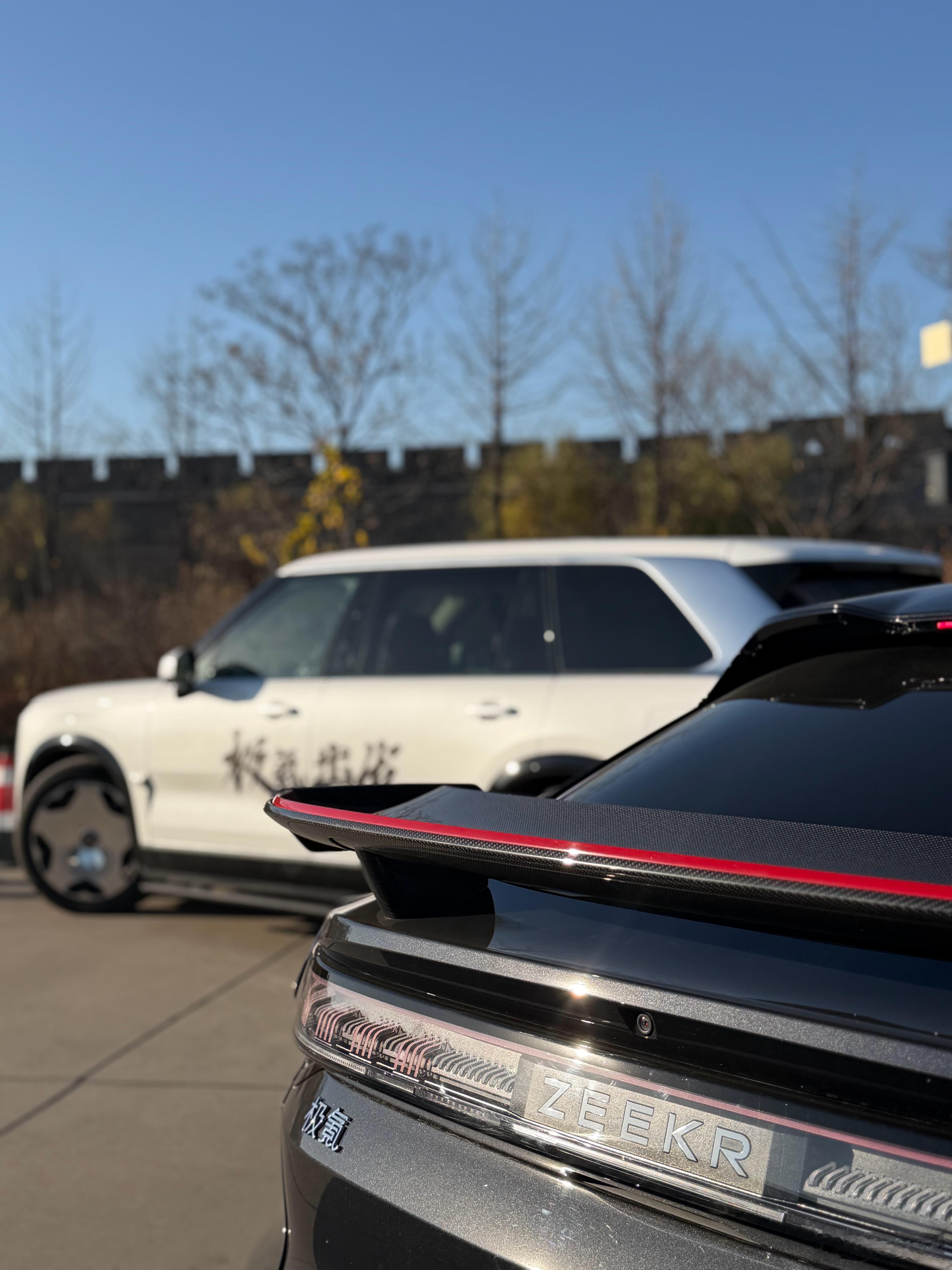 停止思考极氪出发