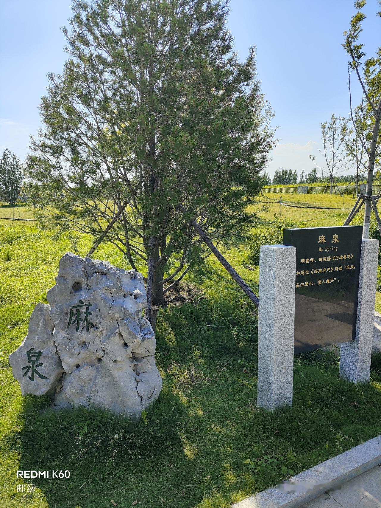 白泉、团泉、麻泉都属于济南白泉泉群。白泉泉群分布在市区东部，历城区王舍人镇以北，
